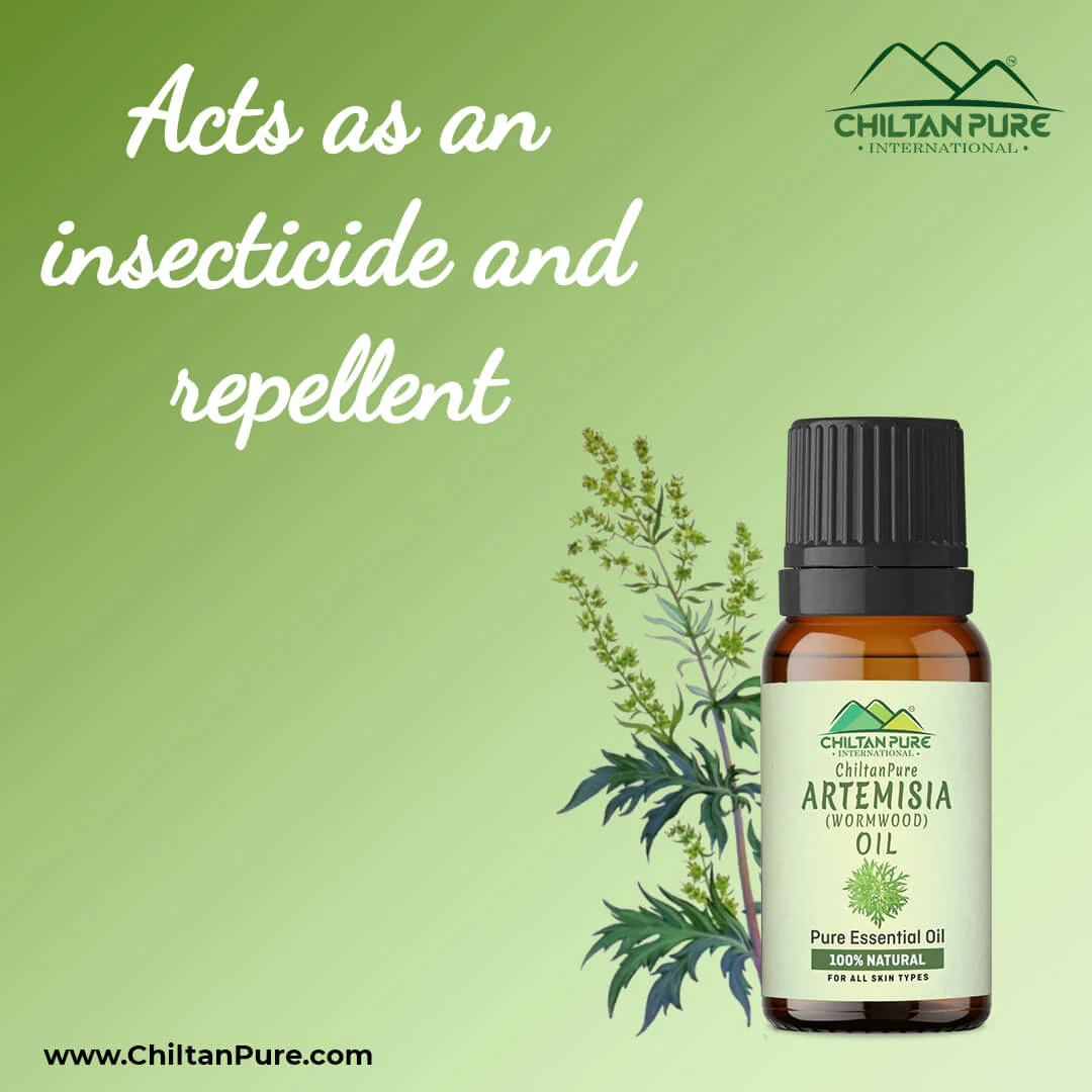 Artemisia Essential oil – Wormwood Essential Oil – Acts as an Emmenagogue, Relieves Nervous Afflictions & Prevents Microbial Infections 20ml - Image 4