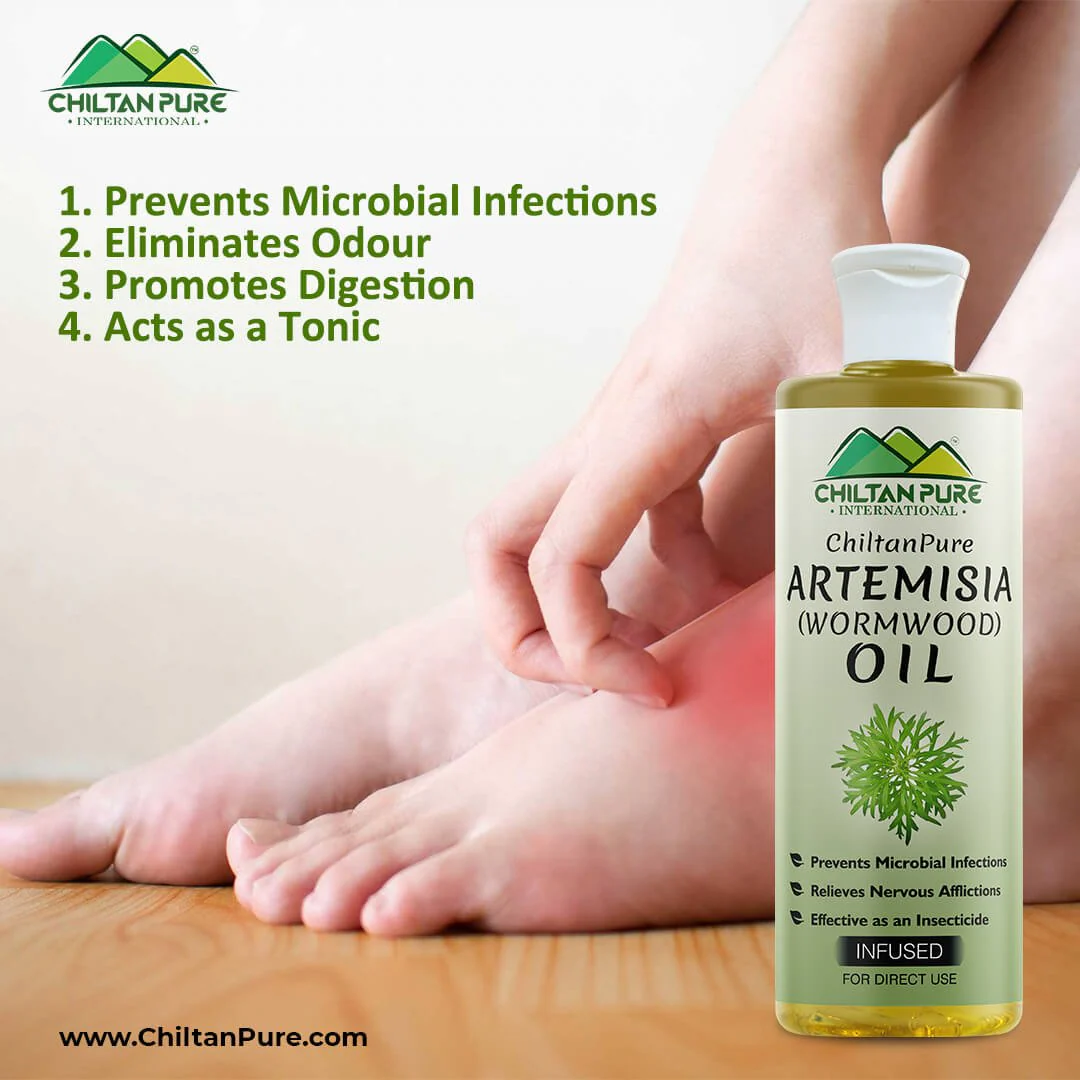 Artemisia Infused oil – Wormwood Infused oil – Promotes Digestion, Relieves Nervous Afflictions, Acts as Emmenagogue & Cholagogue 200ml - Image 3