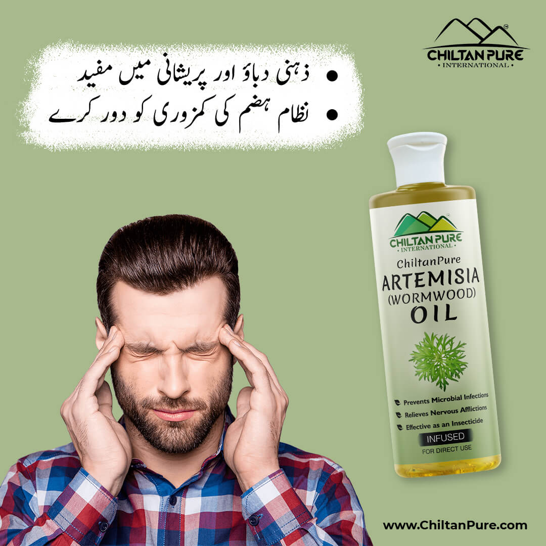 Artemisia Infused oil – Wormwood Infused oil – Promotes Digestion, Relieves Nervous Afflictions, Acts as Emmenagogue & Cholagogue 200ml - Image 4