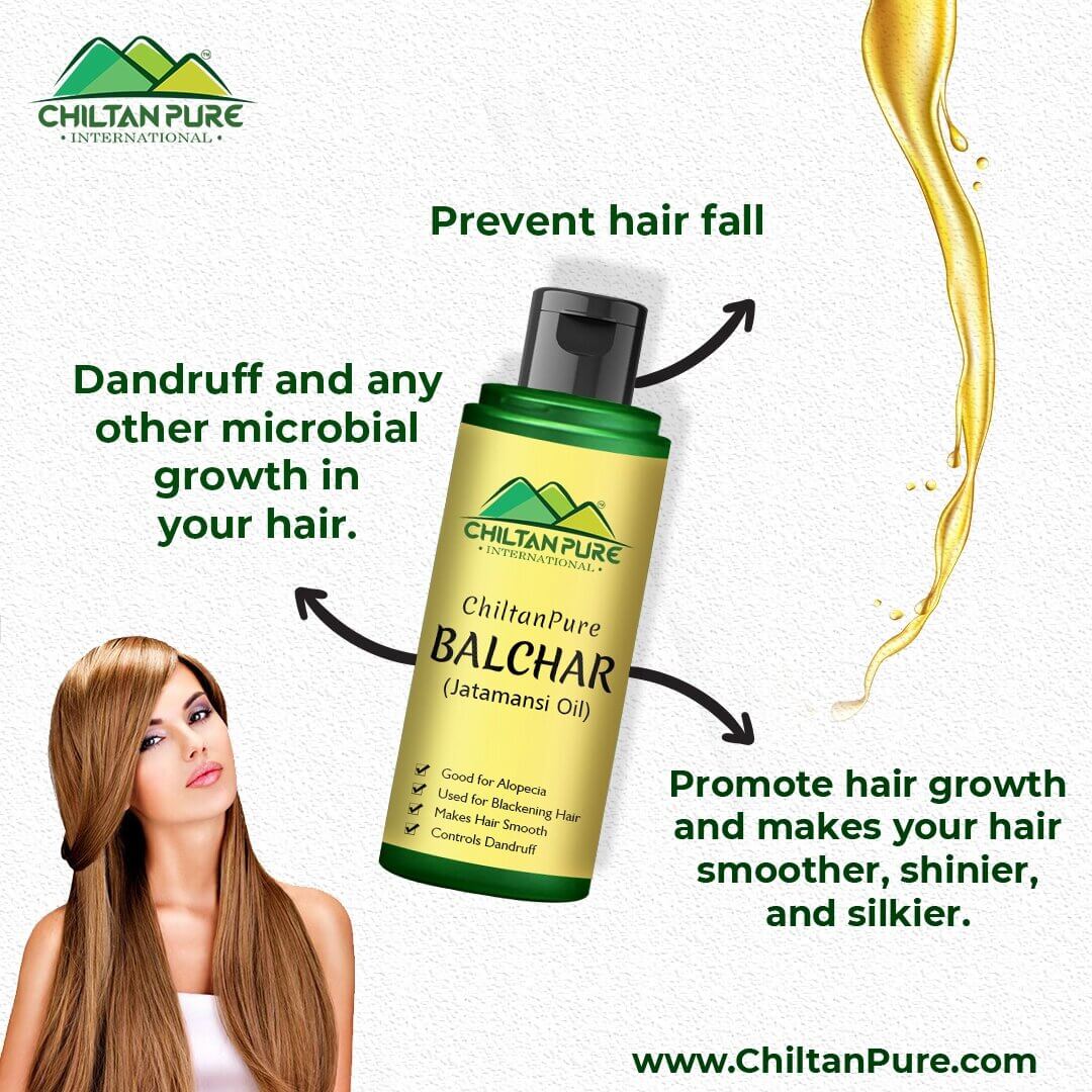 Balchar (Jatamansi) Oil – Effective for Alopecia, Enlarges Follicular Hair Size & Prevents Scalp Infections - Image 5