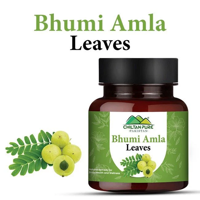 Bhumi Amla Leaves / بھومی آملہ لیوز / Gross Weight 100gm