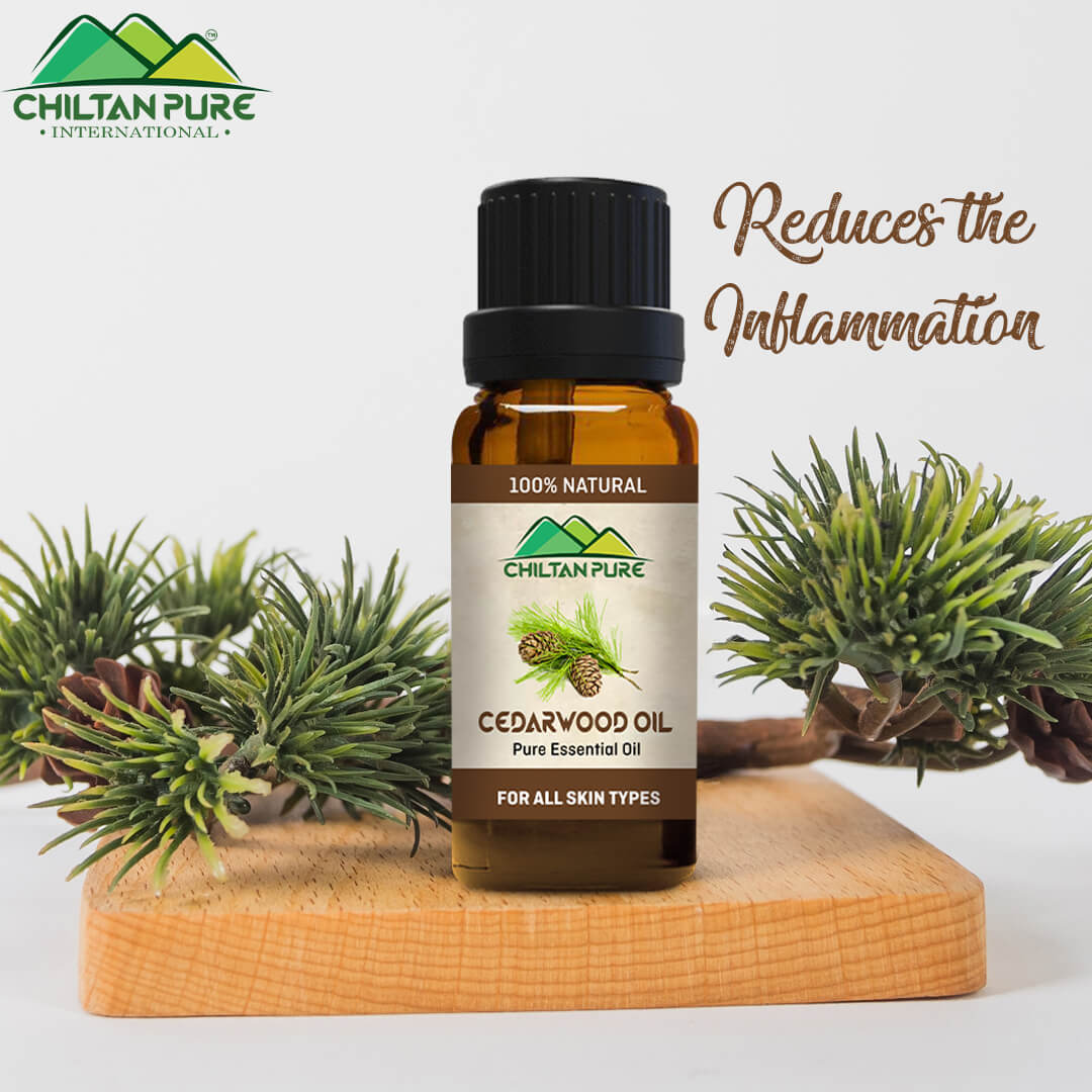 Cedarwood Essential Oil – Combats Hair Loss, Tightens Muscles, Natural Sedative & Antiseptic - Image 2