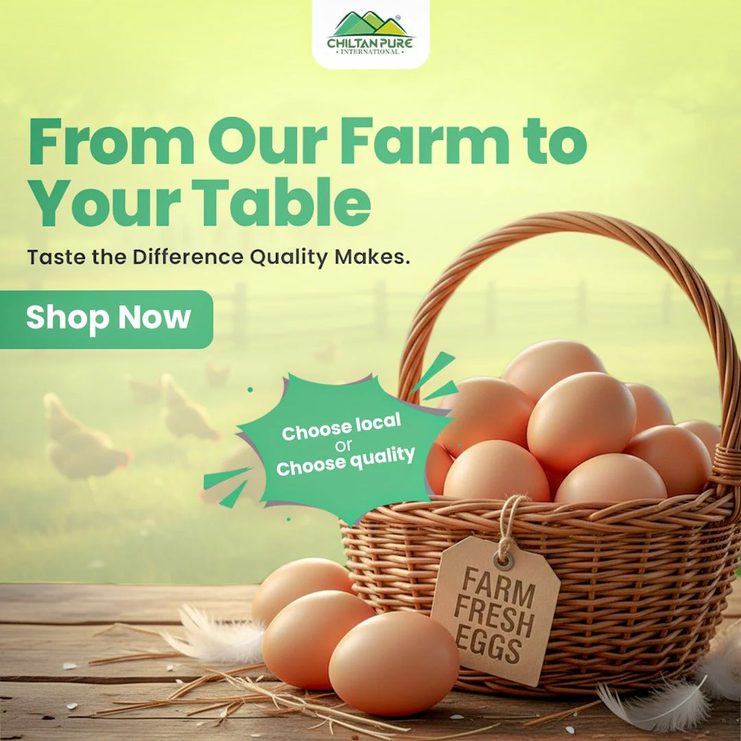 Desi Eggs / Free-Range Eggs / Organic / 1 Dozen (12egg) - Image 4
