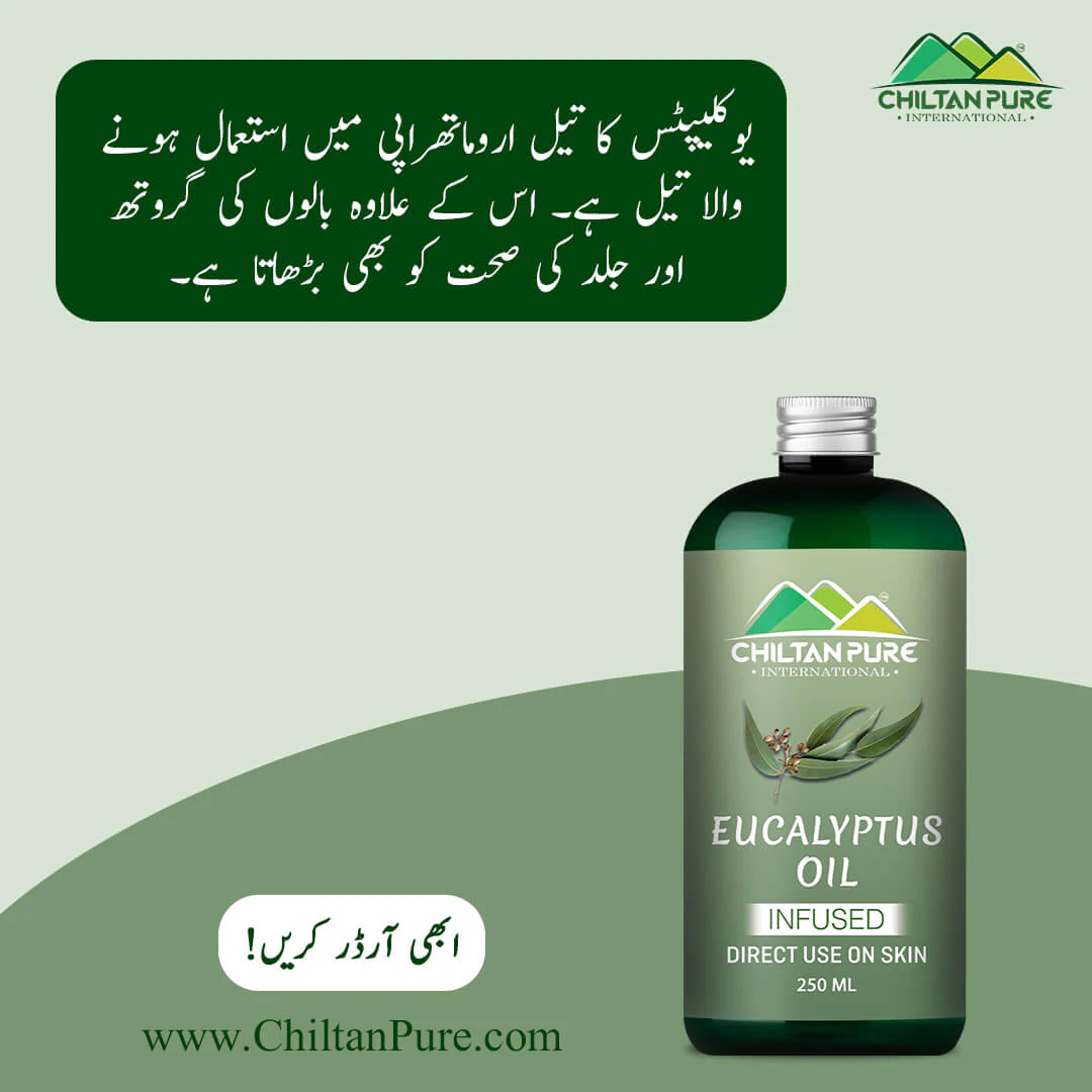 Eucalyptus Infused Oil – Prevents Acne, Soothes Dry Skin, Natural Stress Buster & Reduces Scalp Irritation 200ml - Image 3