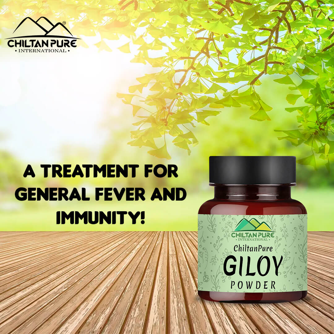 Giloy Powder – Improves Digestive Health, Strengthen Immune System, Good for Vision & Helps in the Management of Type II Diabetes 90gm - Image 3