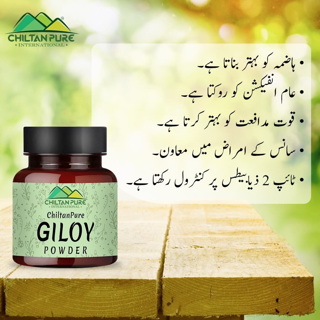 Giloy Powder – Improves Digestive Health, Strengthen Immune System, Good for Vision & Helps in the Management of Type II Diabetes 90gm - Image 4