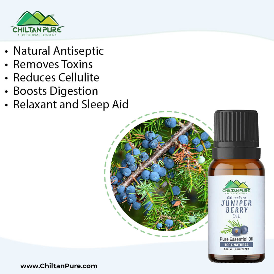 Juniper Berry Essential Oil – Relieves Bloating, Reduces Cellulite, Natural Preservative, Relaxant & Sleep Aid 20ml - Image 3