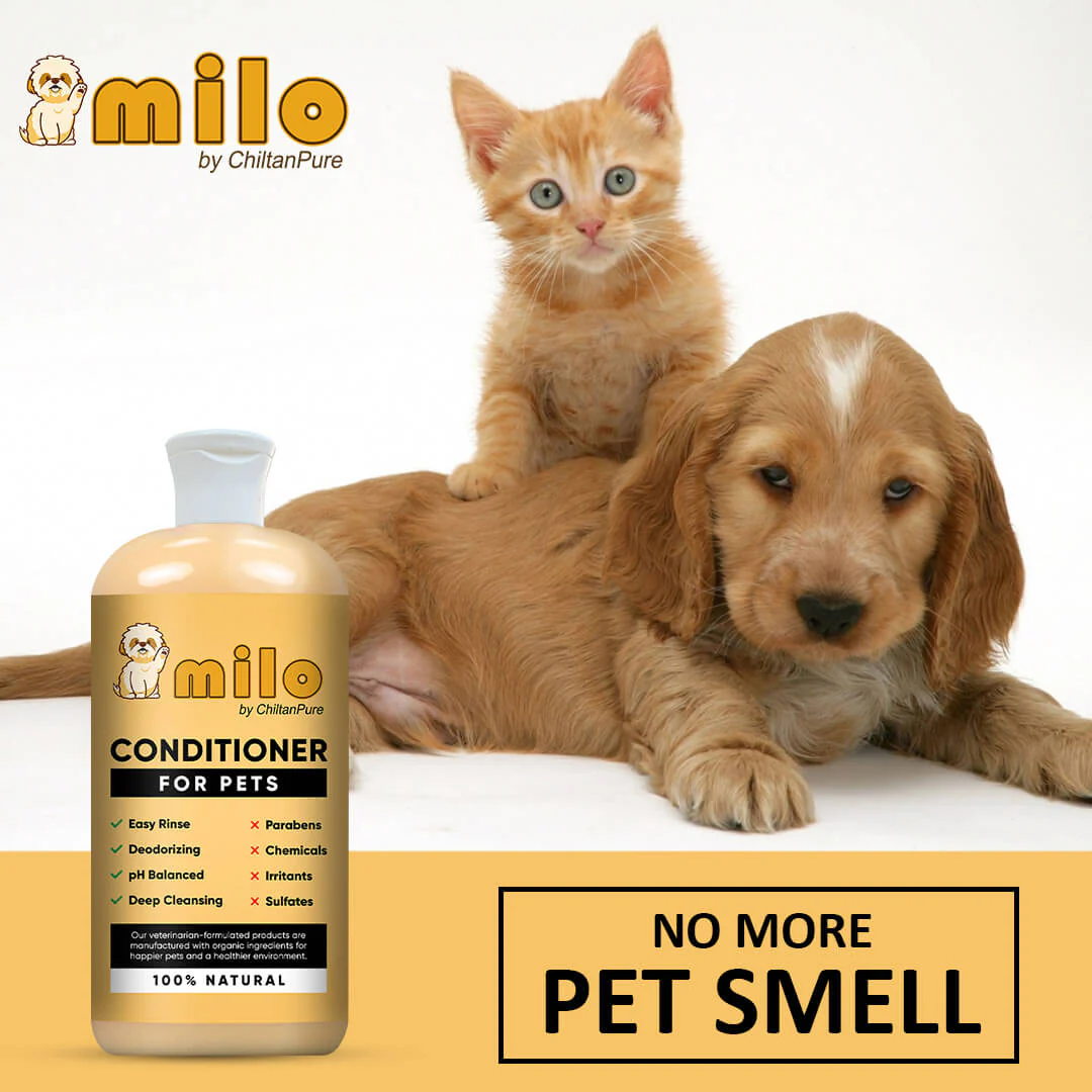 Milo Pet Conditioner – Nourishes Hair, Control Hair Fall, Prevent Itchiness, Gives Shiny Hair & Long – lasting Freshness 250ml - Image 4