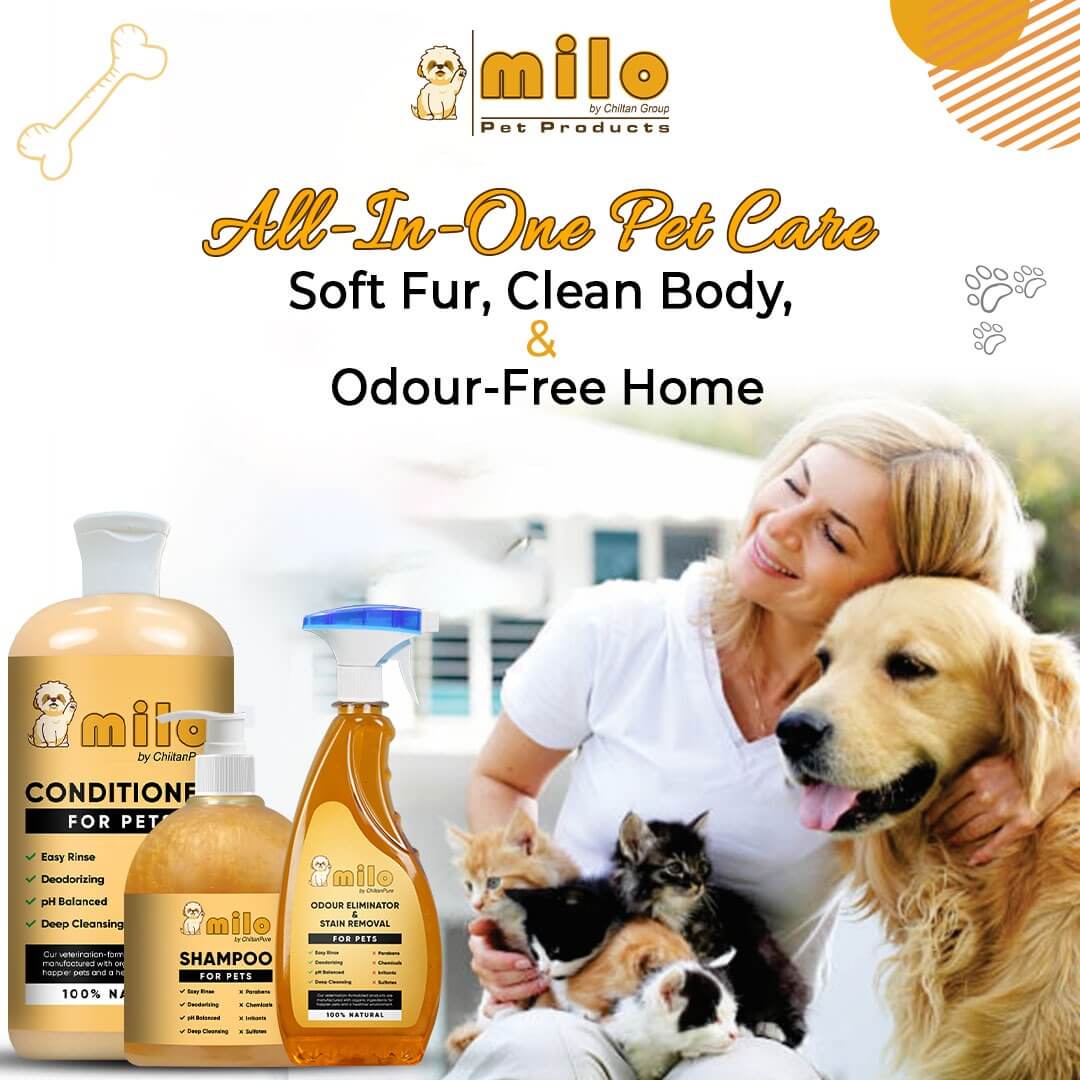 Milo Pet Conditioner – Nourishes Hair, Control Hair Fall, Prevent Itchiness, Gives Shiny Hair & Long – lasting Freshness 250ml - Image 6