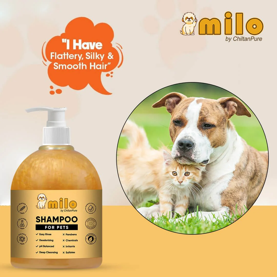 Milo Pet Shampoo – Anti-Dandruff, Gently Cleanse Hair, Avoid Shedding & Prevent Infections 500ml - Image 7