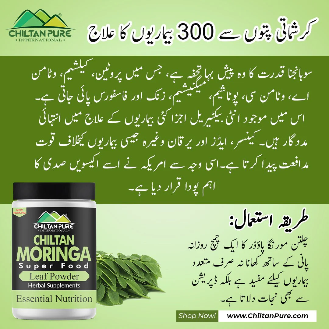 Moringa Powder - Wellness in Every Spoon , Nature's Multivitamin (small) - Image 16