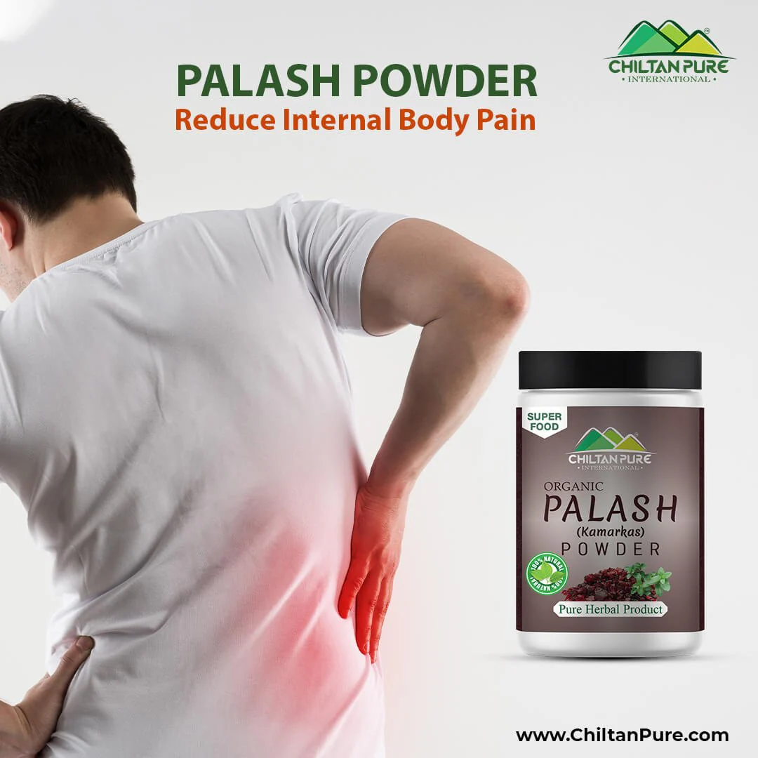 Palash Powder / Kamarkas - Reduce Internal Body Pain [کمر کس] 🔥 Trending Product - Image 2