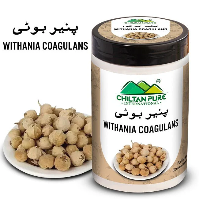 Paneer Booti پنیر بوٹی (Withania Coagulans) Paneer Dodi  Indian Rennet - Purifies Blood, Controls Diabetes, Relief Digestive Discomfort & Ideal for Acne Prone Skin