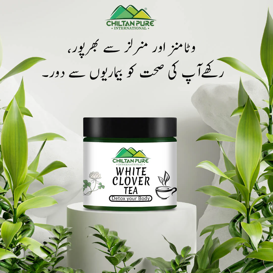 White Clover Tea - Heal Wounds, Cure Minor Eyes Infection, Treat Fever, Aches & Dizziness - Image 3